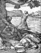 Image of
