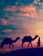 The Silk Road ended with the arrival of sailing ships and modern transportation, but it's mystique still captures the imagination and intrigues historians who appreciate its impact on the development of modern civilization. Image of The Silk Road ended with the arrival of sailing ships and modern transportation, but it's mystique still captures the imagination and intrigues historians who appreciate its impact on the development of modern civilization.