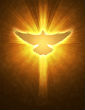 Image of