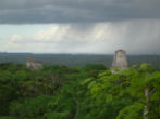 William Gadoury, thought he discovered a lost Mayan city, but archaeologists say no. Image of William Gadoury, thought he discovered a lost Mayan city, but archaeologists say no.