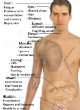 Can stem cells cure MS (WikiMedia Commons)? Image of Can stem cells cure MS (WikiMedia Commons)?