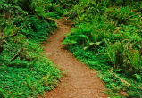 Image of