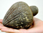 The grenade is a surprisingly ancient weapon dating back to the Seventh century AD. Image of The grenade is a surprisingly ancient weapon dating back to the Seventh century AD.