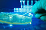 Scientists know about an amazing STD solution that is 100 percent effective. So why aren't we using it? Image of Scientists know about an amazing STD solution that is 100 percent effective. So why aren't we using it?