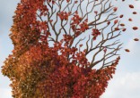 One nun's brain revealed aggressive Alzheimer's yet she remained fully-functional and of sound mind. Image of One nun's brain revealed aggressive Alzheimer's yet she remained fully-functional and of sound mind.