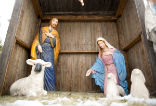 One Italian priest will not allow a Nativity scene to be put up at a local cemetery to avoid offending Muslims and atheists. Image of One Italian priest will not allow a Nativity scene to be put up at a local cemetery to avoid offending Muslims and atheists.