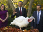 President Obama has been exercising his presidential pardon power quite liberally, deciding on society's behalf which felons should get out early. Image of President Obama has been exercising his presidential pardon power quite liberally, deciding on society's behalf which felons should get out early.