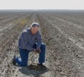 A farmer surveys his field, left barren by drought, partly natural, partly man-made. Image of A farmer surveys his field, left barren by drought, partly natural, partly man-made.