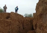 Scientists have discovered a new danger in the Arizona desert. Image of Scientists have discovered a new danger in the Arizona desert.