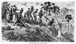 An image from 1865 shows Africans being taken into slavery. One victim is being put to death arbitrarily, or for some unknown offense. Image of An image from 1865 shows Africans being taken into slavery. One victim is being put to death arbitrarily, or for some unknown offense.