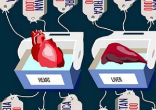 The Vatican is pushing to make organ trafficking a crime against humanity. Image of The Vatican is pushing to make organ trafficking a crime against humanity.