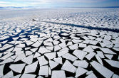 Will the cure worse than the disease? The polar caps melt, then grow back. But there's a greater danger than this lurking among us --our response to the problem. Image of Will the cure worse than the disease? The polar caps melt, then grow back. But there's a greater danger than this lurking among us --our response to the problem.