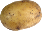 Did Pope Francis call the Virgin Mary a couch potato? Image of Did Pope Francis call the Virgin Mary a couch potato?