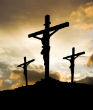 Image of