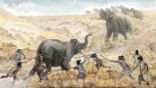 Did prehistoric humans slay a mastodon outside modern San Diego 130,000 years ago? Image of Did prehistoric humans slay a mastodon outside modern San Diego 130,000 years ago?