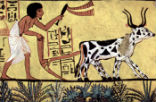 Egyptian civilization was among the first to perfect neolithic agriculture. Were these developments forced by a cosmic cataclysm?
Image of Egyptian civilization was among the first to perfect neolithic agriculture. Were these developments forced by a cosmic cataclysm?