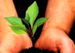 What does God say about preserving the Earth? Image of What does God say about preserving the Earth?