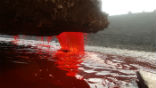 Scientists have discovered at least 17 different microbes in the water of Blood Falls. Image of Scientists have discovered at least 17 different microbes in the water of Blood Falls.