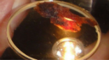 The Eucharistic miracle from Buenos Aries was sent to the USA for testing. Image of The Eucharistic miracle from Buenos Aries was sent to the USA for testing.