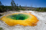 The magma plume that feeds the supervolcano under Yellowstone is also responsible for the park's incredible beauty. Image of The magma plume that feeds the supervolcano under Yellowstone is also responsible for the park's incredible beauty.