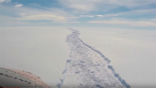 The crack in the Larsen C Ice Shelf stretched for nearly 100 miles. Today, it has reached the ocean, calving one of the largest glaciers ever recorded. Image of The crack in the Larsen C Ice Shelf stretched for nearly 100 miles. Today, it has reached the ocean, calving one of the largest glaciers ever recorded.