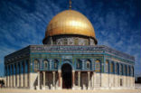 Image of