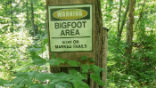 Has Bigfoot been sighted in North Carolina? Image of Has Bigfoot been sighted in North Carolina?