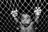 The Vatican has asked all nations at the UN to help in the fight against human trafficking. Image of The Vatican has asked all nations at the UN to help in the fight against human trafficking.
