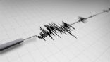 Earthquakes are one disaster for which we still have no warning. Image of Earthquakes are one disaster for which we still have no warning.
