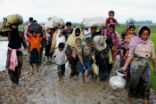 Rohingya Muslims have suffered persecution from the Buddhist majority in Myanmar. Image of Rohingya Muslims have suffered persecution from the Buddhist majority in Myanmar.