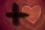 Image of