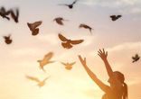 Everything we have comes from God. Image of Everything we have comes from God.