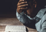 Learning to live with your weaknesses, your own thorns and imperfections is so important for growing in faith. Image of Learning to live with your weaknesses, your own thorns and imperfections is so important for growing in faith.