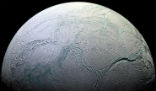 Could Enceladus host life? The discovery of complex organic molecules hints at the possibility. Image of Could Enceladus host life? The discovery of complex organic molecules hints at the possibility.