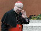 Cardinal Domenico Calcagno. Image of Cardinal Domenico Calcagno.
