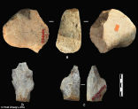 These hand axes are dated to 2.1 million years of age. Photo: Prof Zhaoyu Zhu. Image of These hand axes are dated to 2.1 million years of age. Photo: Prof Zhaoyu Zhu.