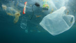 Plastic waste pollutes our oceans and is killing wildlife. Image of Plastic waste pollutes our oceans and is killing wildlife.
