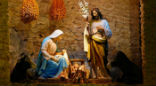 Image of