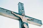 Image of