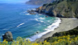 Image of