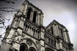 Image of