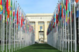United Nations Image of United Nations