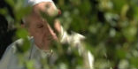 Pope Francis has suggested the addition of ecological sins to the catechism. Image of Pope Francis has suggested the addition of ecological sins to the catechism.