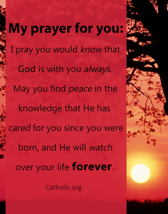 My prayer for you