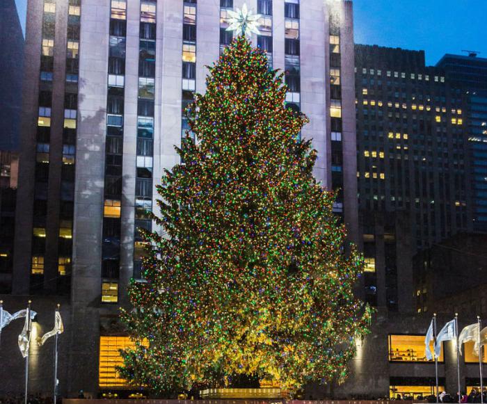 Outside the Rockefeller Building in New York a 78-foot tree weighing ten tons can be found. Outside the Rockefeller Building in New York a 78-foot tree weighing ten tons can be found.