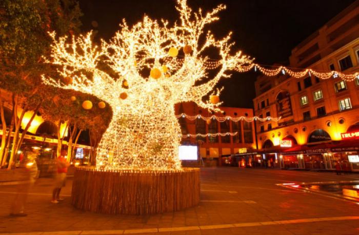 Christmas Baobob Tree in Johannesburg South Africa. Christmas Baobob Tree in Johannesburg South Africa.