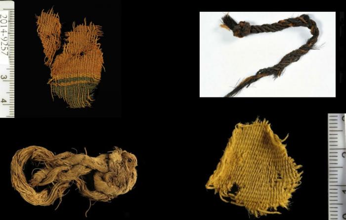 Ancient organic materials were discovered at the site. Ancient organic materials were discovered at the site.