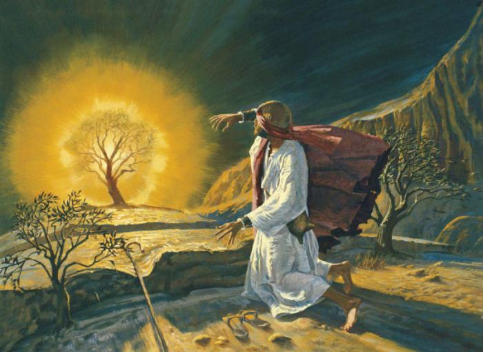 Moses. Moses.