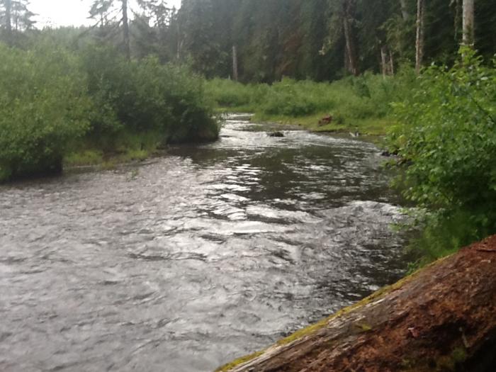 Mystery of milkywhite Kalama River may be solved Green News