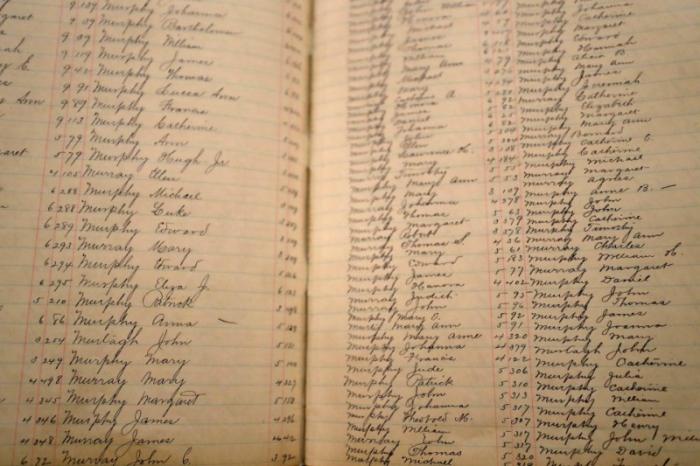 Over 10 million names will be available online. Over 10 million names will be available online.